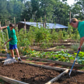 Volunteering with Community Programs in York County, SC