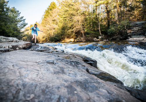 Community Programs in York County, SC: Focusing on Environmental Conservation