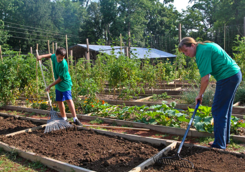 Volunteering with Community Programs in York County, SC